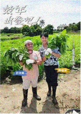 周末不打烊 免费综艺在线观看平台